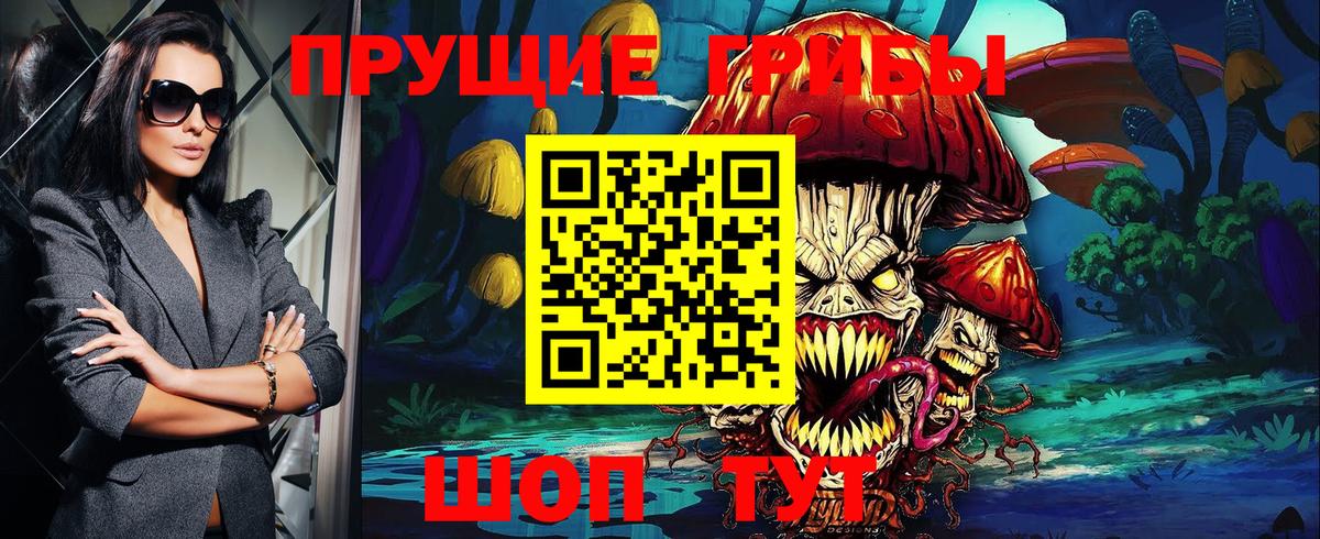 Галлюциногенные грибы мицелий  продажа наркотиков  Псилоцибиновые грибы GOLDEN TEACHER  Красноармейск  Вход с VPN 